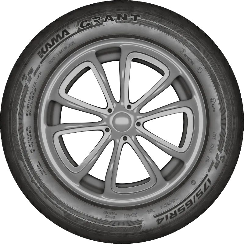 KAMA GRANT (НК-241) в Камени-на-Оби — KAMA TYRES KAMA GRANT (НК-241) в Камени-на-Оби